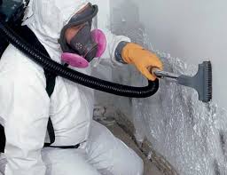 Best Air Quality Testing for Mold Spores  in Pine Hills, CA